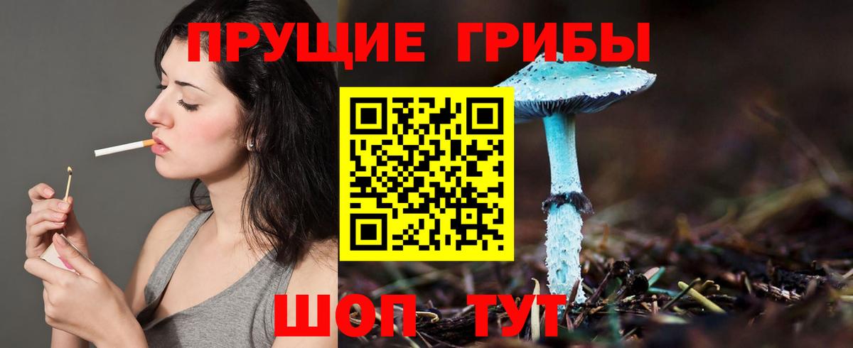 Псилоцибиновые грибы MAGIC MUSHROOMS Донской